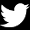 icona Twitter